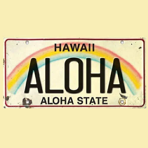 [Goods] Hawaii Licence Plate IslandTime（アイランドタイム）